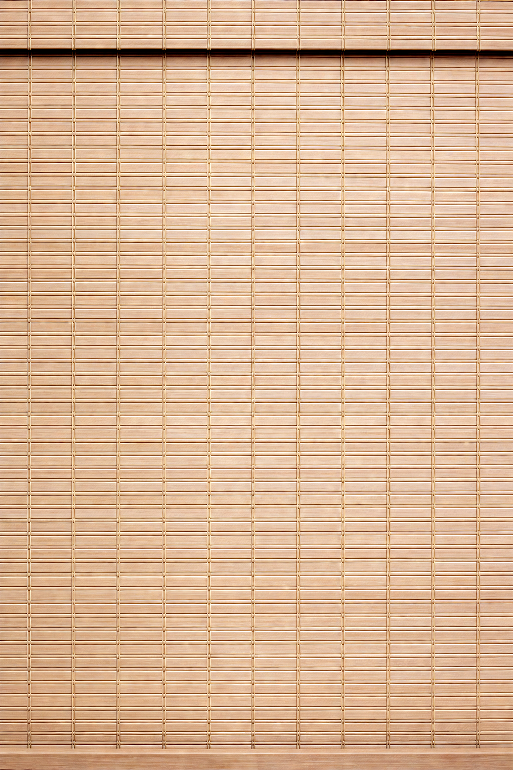 Squirrel bamboo roman shade